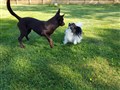 20180608_173933.jpg